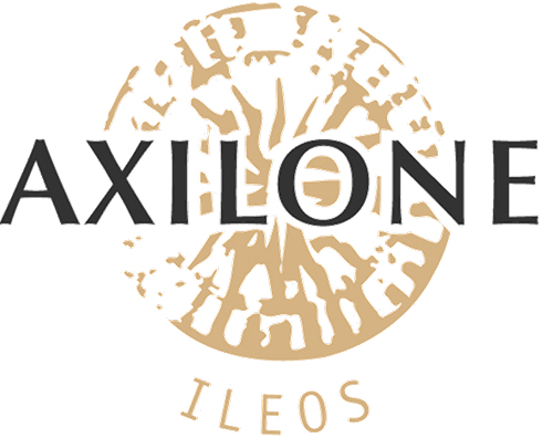 start-ateliers-services-axilone