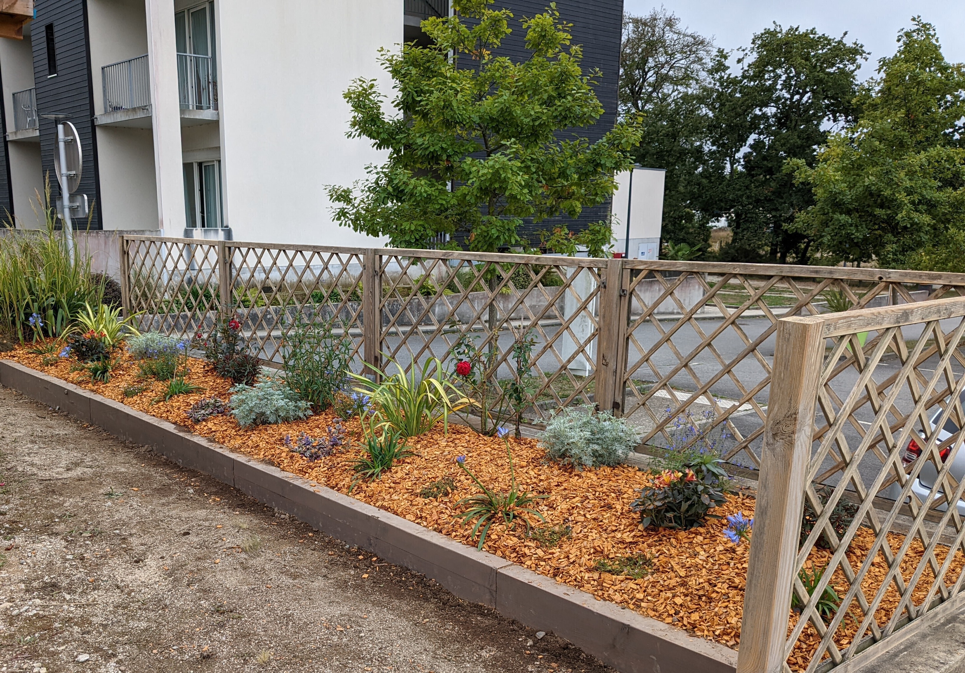 Création de massif Start Ateliers